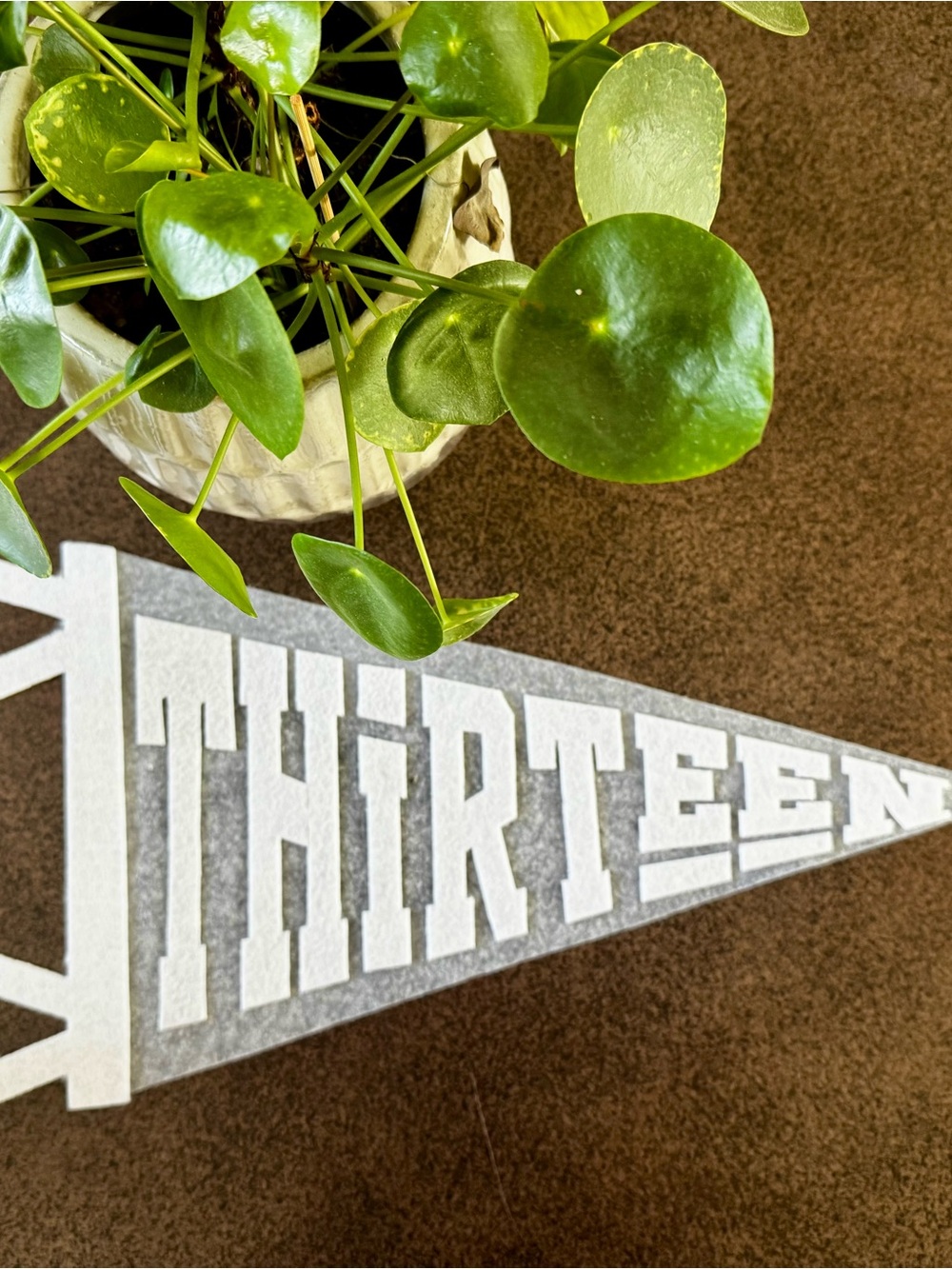 White and Gray ‘THIRTEEN' Felt Pennant Banner